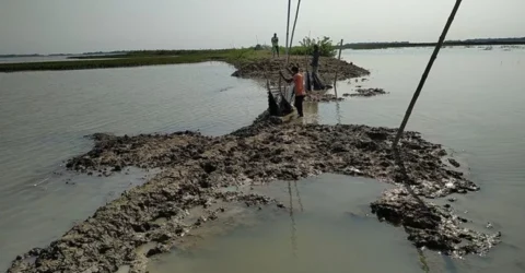 সিলেটে হাওর রক্ষা বাঁধ নির্মাণে ধীর গতি, কৃষকরা উদ্বিগ্ন