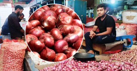 পেঁয়াজের দাম কমেছে কেজিতে ১০ টাকা, বাজারে ইতিবাচক পরিবর্তন