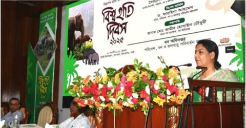 হাতি সংরক্ষণে আবাসস্থল, করিডোর মুক্তকরণ ও সচেতনতা জরুরি: উপদেষ্টা সৈয়দা রিজওয়ানা হাসান