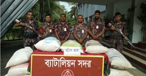 কুষ্টিয়ার দৌলতপুর সীমান্তে বিজিবির অভিযানে মাদকসহ দুই যুবক আটক