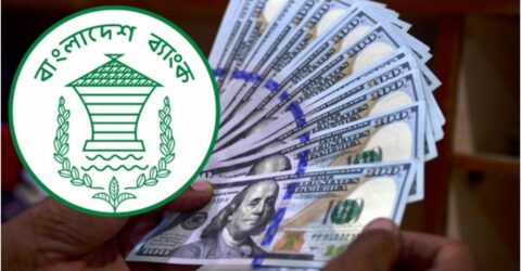 দেশের বৈদেশিক মুদ্রার রিজার্ভ আবার ৩১ বিলিয়ন ছাড়াল