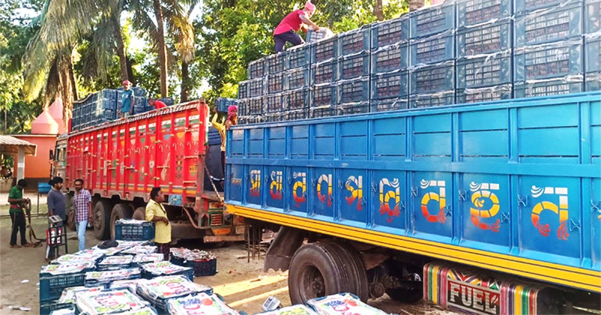 হিলি বন্দর দিয়ে টমেটো আমদানি শুরু