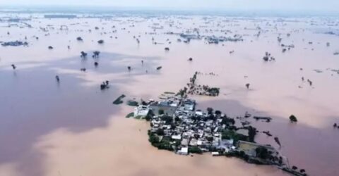 ১৯৮৮ সালের পর সবচেয়ে ভয়ঙ্কর বন্যায় পাঞ্জাবের ক্ষতি, নিহত ৩০