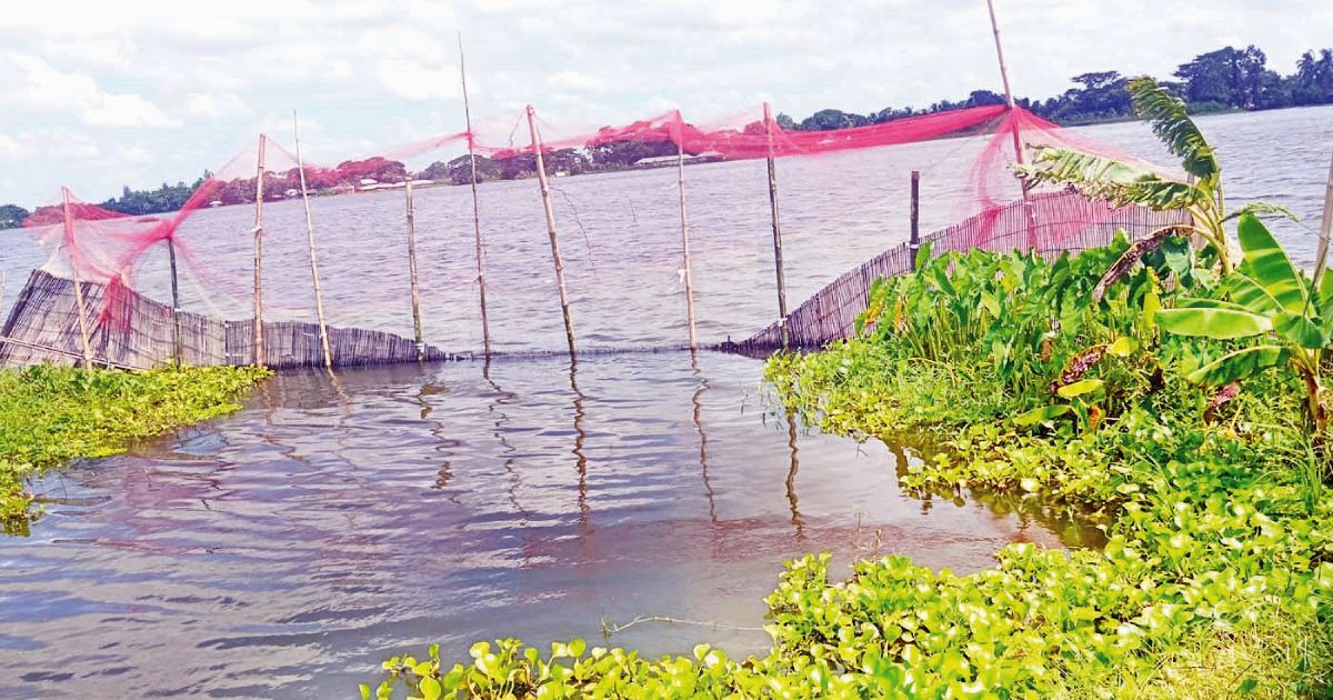 দখল ও দূষণে বিপন্ন হচ্ছে গোপালগঞ্জের প্রাকৃতিক খাল-বিলগুলো