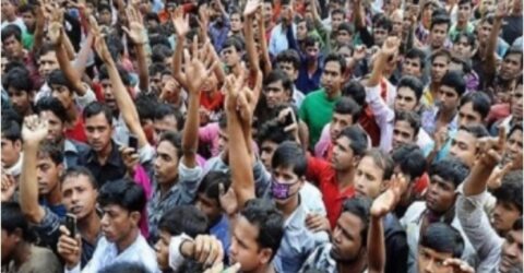 প্রতিটা তিনজন বেকারের মধ্যে একজন স্নাতক ডিগ্রিধারী