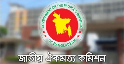 সাংবিধানিক আদেশের মাধ্যমে বাস্তবায়ন: গণভোটের প্রস্তুতি ও পরবর্তী পরিকল্পনা