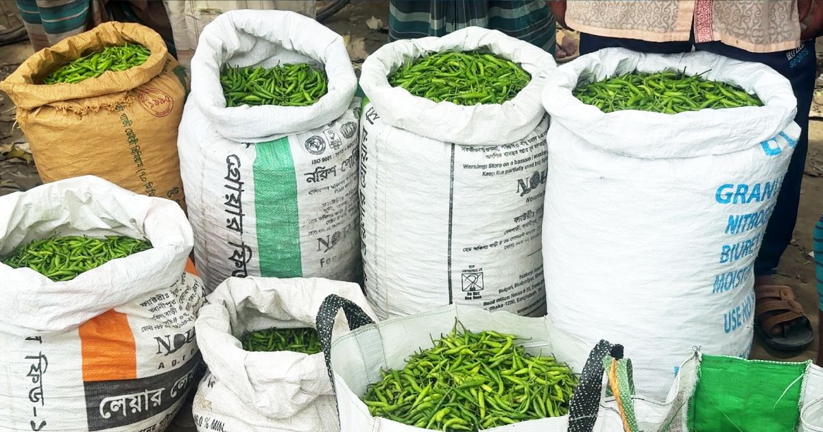 নওগাঁর মোমনিপুর হাটে প্রতি মাসে আড়াই কোটি টাকার কাঁচা মরিচ বিক্রি