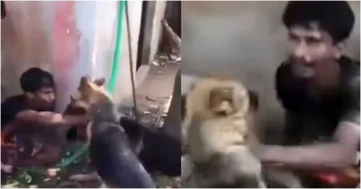 কুমিল্লায় চুরির অভিযোগে যুবককে কুকুর লেলিয়ে নির্যাতন, আটক ৩