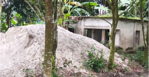 ৩১ বছর পর বামন্দী পশু হাসপাতাল চালুর দাবি জেলাখামারি ও ব্যবসায়ীদের
