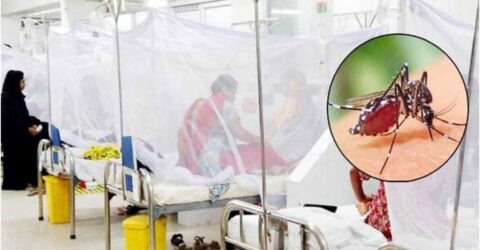 ডেঙ্গুতে আরও ৫ জনের মৃত্যু, হাসপাতালে ভর্তি ৬৬৮