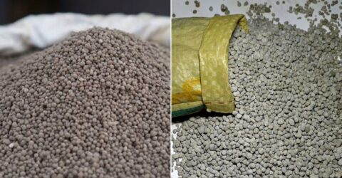 সরকার ১ লাখ ৮০ হাজার মেট্রিক টন সার আমদানি করবে