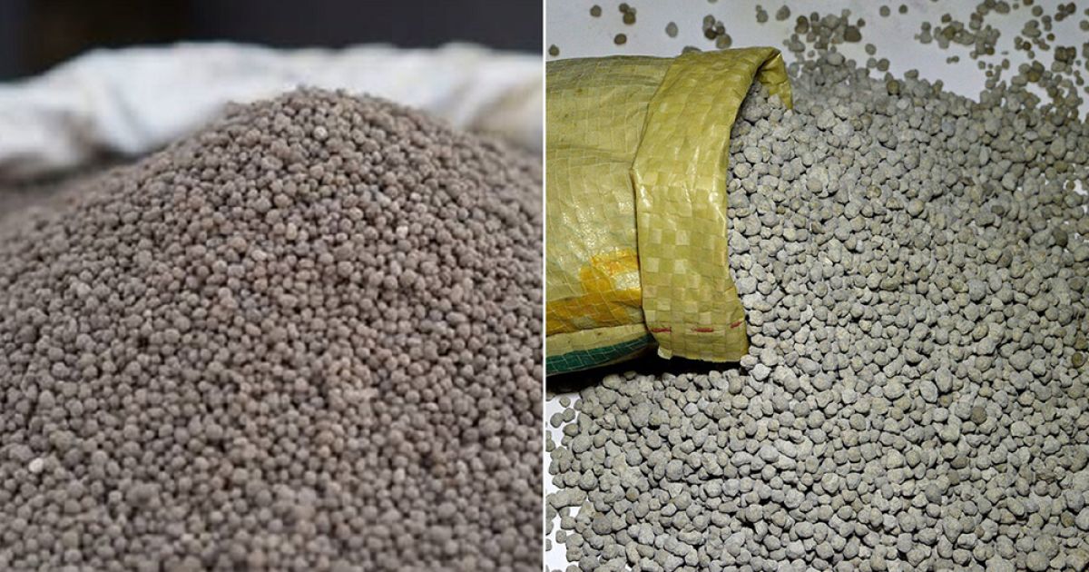 সরকার ১ লাখ ৮০ হাজার মেট্রিক টন সার আমদানি করবে