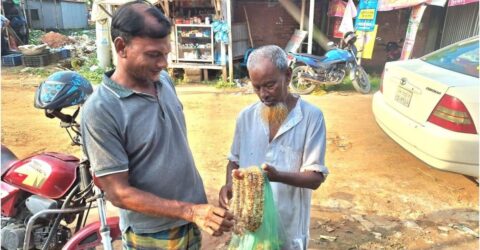 বৃদ্ধ রশিদ মিয়া ফুলের মালা বিক্রি করে জীবন চালান