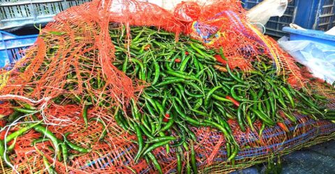 কাঁচামরিচের দাম আবার ৩০০ টাকা ছাড়াল