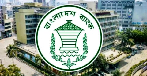 আইএমএফ ও বাংলাদেশের নাম ব্যবহার করে ভুয়া ঋণের ফাঁদ, সতর্কতা জারি