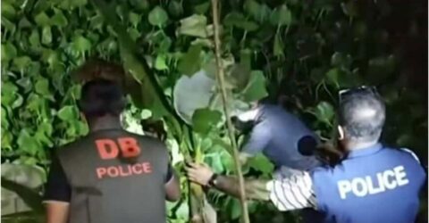 পরপর কন্যা সন্তানের জন্মের পর নবজাতককে খালে ফেলে দেওয়ার অভিযোগ