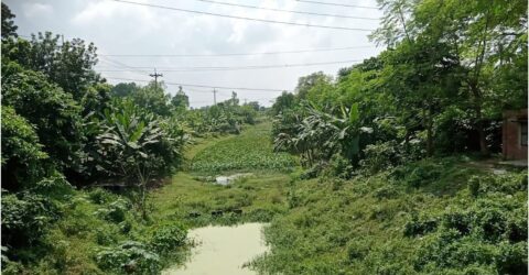 জয়পুরহাটে খননের তিন বছর পর שוב ভরাট হচ্ছে চিরি নদী
