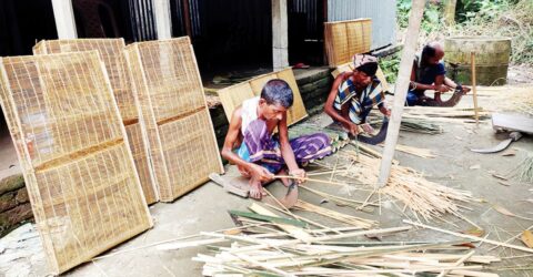 সরিষাবাড়িতে মাছ ধরা ডারকি, চাঁই ও পলো হারিয়ে যাচ্ছে বাংলার ঐতিহ্য