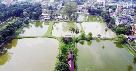 নওগাঁর সরকারি মৎস্য খামারে রেনুর চাহিদা বাড়ছে, তবে উৎপাদন ব্যাহত