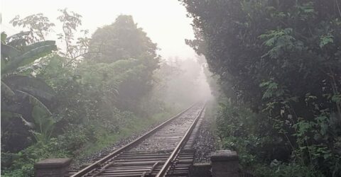 শীতের আগমনী বার্তা: রাজশাহীতে সর্বনিম্ন তাপমাত্রা ২২.২ ডিগ্রি