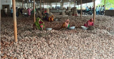 জয়পুরহাটের হিমাগারে ৩৪ লাখ বস্তা আলু, কৃষক ও ব্যবসায়ীদের কোটি কোটি টাকার ক্ষতি