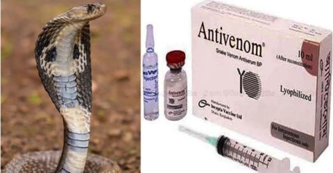 সব হাসপাতালে সাপের কামড়ের অ্যান্টিভেনম পাঠানোর নির্দেশ দিলো স্বাস্থ্য মন্ত্রণালয়