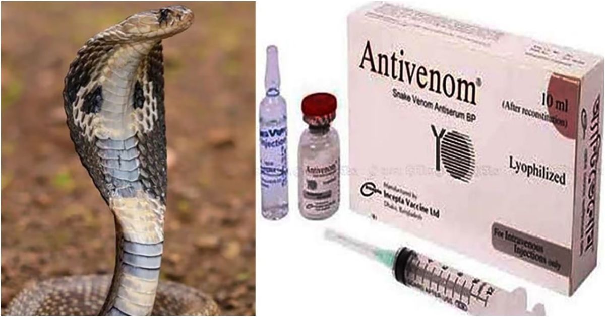 সব হাসপাতালে সাপের কামড়ের অ্যান্টিভেনম পাঠানোর নির্দেশ দিলো স্বাস্থ্য মন্ত্রণালয়