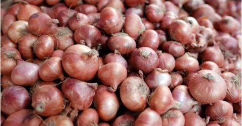 পেঁয়াজের দাম নিয়ন্ত্রণে আমদানির হুঁশিয়ারি ও সুপারিশ