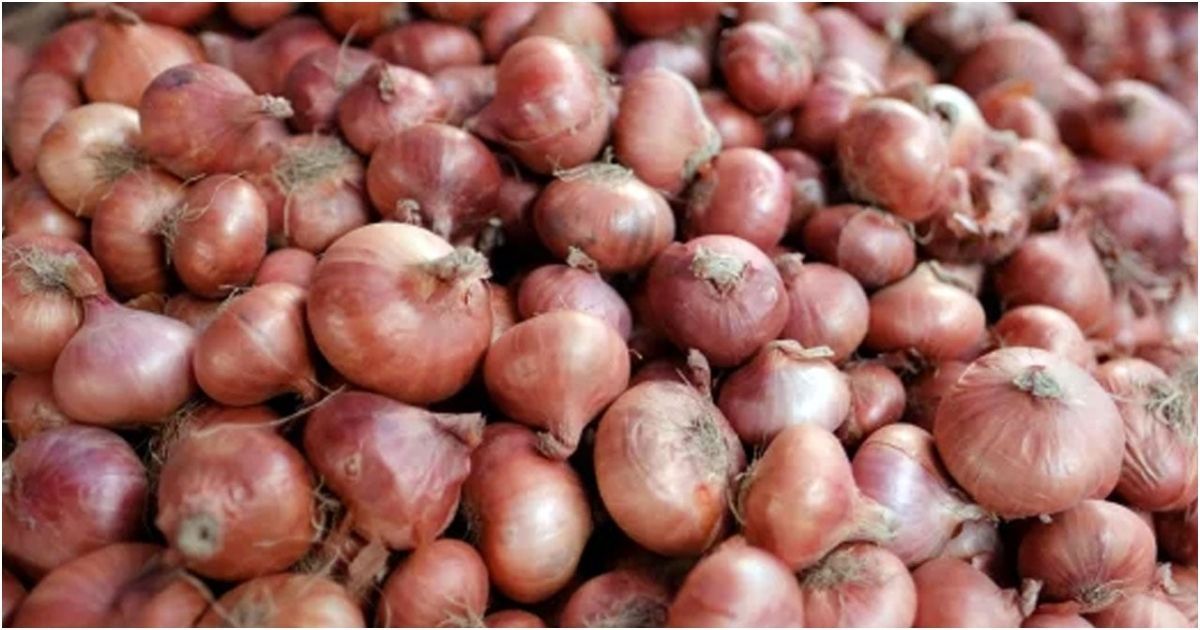 পেঁয়াজের দাম নিয়ন্ত্রণে আমদানির হুঁশিয়ারি ও সুপারিশ