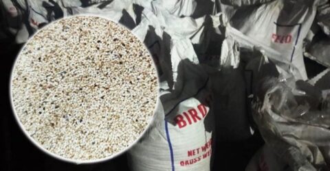 পাকিস্তান থেকে আসা কনটেইনারে মিলল ২৫ টন নিষিদ্ধ পপি সিড