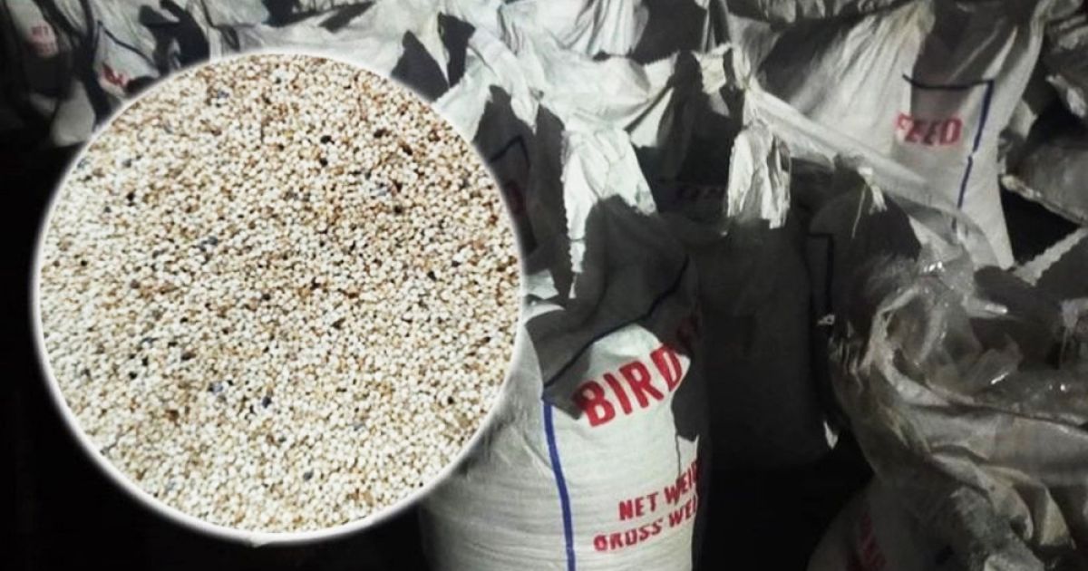 পাকিস্তান থেকে আসা কনটেইনারে মিলল ২৫ টন নিষিদ্ধ পপি সিড