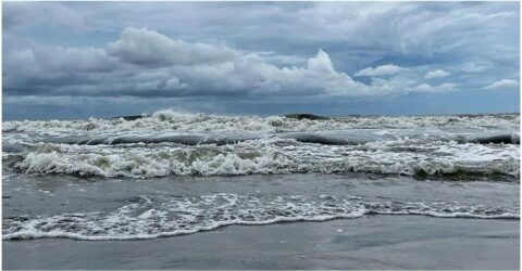 সাগরে স্পষ্ট লঘুচাপের অবস্থা, আরও ঘনীভূত হওয়ার আভাস