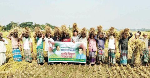 গৌরীপুর বিএনপির নেতার পক্ষে কৃষকদের রিভিউ দাবির ঝোঁক