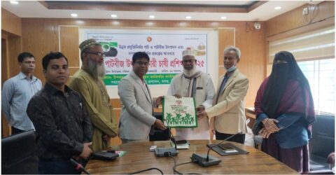 নীলফামারীতে পাটবীজ উৎপাদনকারী চাষীদের জন্য প্রশিক্ষণ কর্মশালা