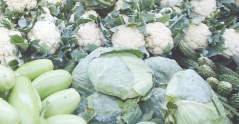 মূল্যহ্রাসে বাজারে মৌসুমি সবজির সরবরাহ বৃদ্ধি