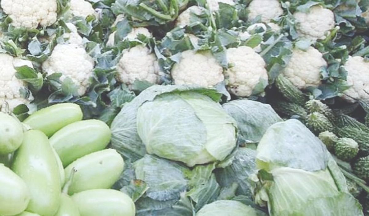 মূল্যহ্রাসে বাজারে মৌসুমি সবজির সরবরাহ বৃদ্ধি