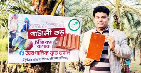 মাগুরায় নার্স সিজানের ভেজালমুক্ত পাটালি ও গুড় তৈরির উদ্যোগ