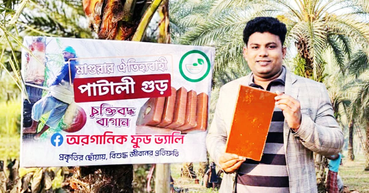 মাগুরায় নার্স সিজানের ভেজালমুক্ত পাটালি ও গুড় তৈরির উদ্যোগ