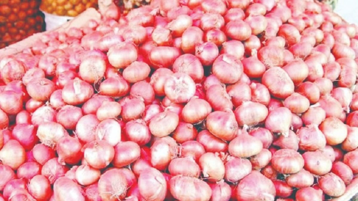 বাংলাদেশের পেঁয়াজ উৎপাদনে স্বাবলম্বী হওয়া সম্ভব