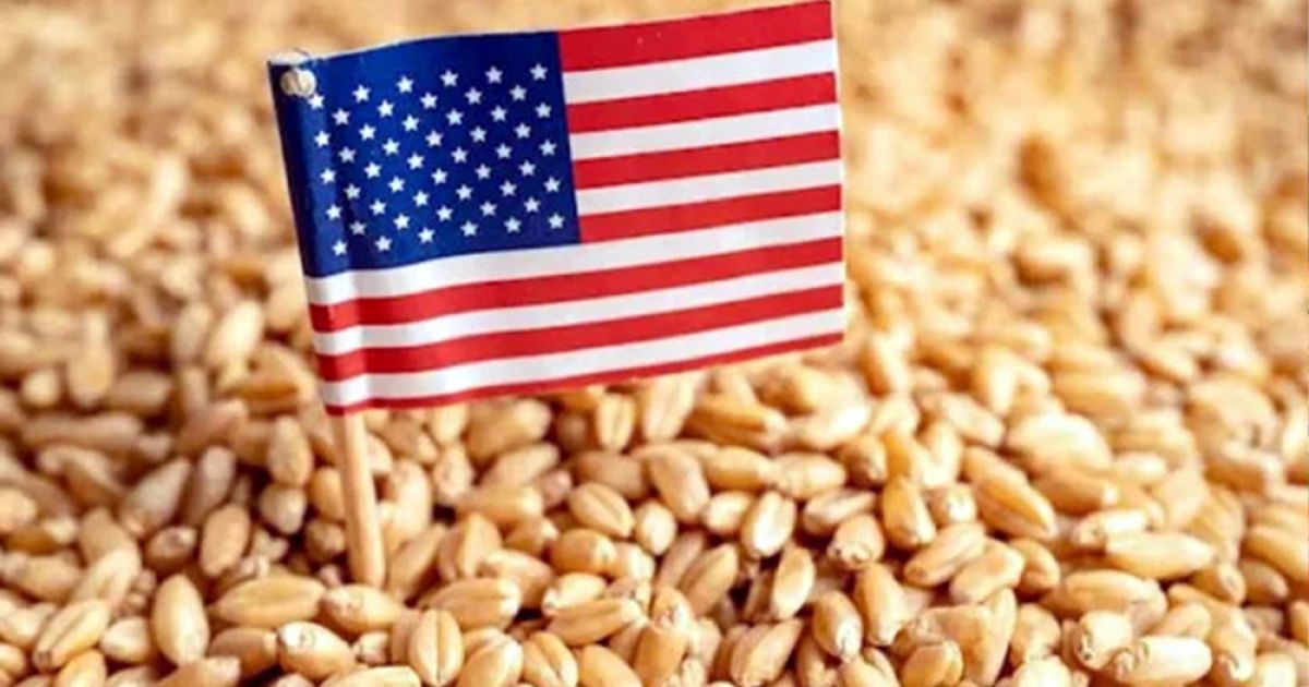 বাংলাদেশ সরকার যুক্তরাষ্ট্র থেকে ২ লাখ ২০ হাজার টন গম কিনবে