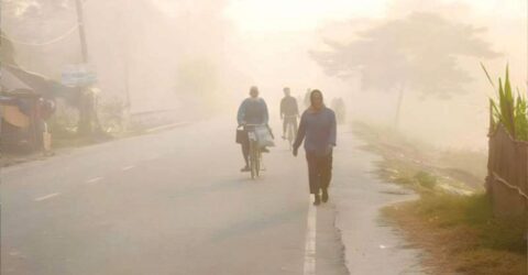 হিমেল হাওয়ায় মেহেরপুর ও নওগাঁয় তাপমাত্রা কমে শীতের তাণ্ডব বেড়েছে