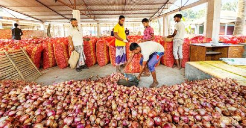 সরকারের সীমিত পেঁয়াজ আমদানির অনুমতি ঘোষণা