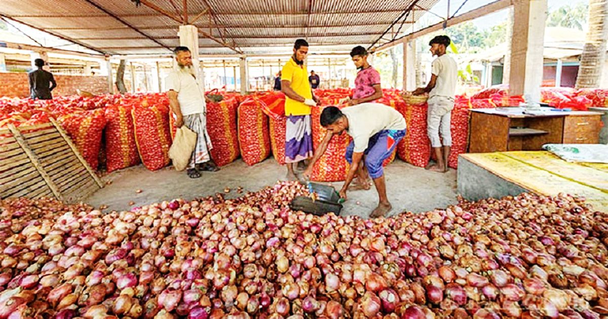 সরকারের সীমিত পেঁয়াজ আমদানির অনুমতি ঘোষণা
