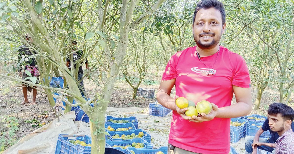 মিশ্র ফলের বাগান করে তরুণ শিক্ষকের সফলতা