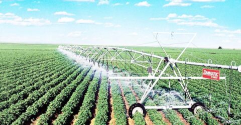 সেন্ট্রাল পিভট প্রযুক্তি দেশের কৃষিতে নতুন বিপ্লব