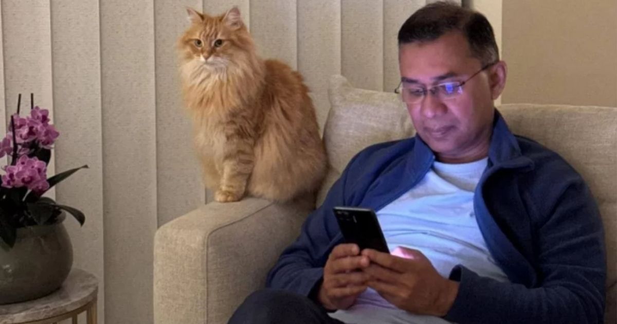 তারেক রহমানের সাথে দেশে ফিরছে তার পোষা বিড়াল ‘জেবু’