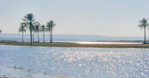 বিপন্ন ফোরাত নদী, তেলের বিনিময়ে পানি চায় ইরাক