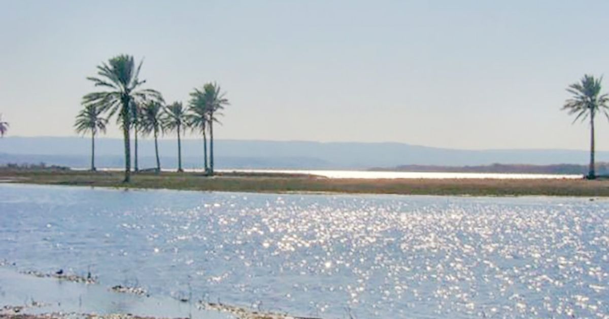 বিপন্ন ফোরাত নদী, তেলের বিনিময়ে পানি চায় ইরাক