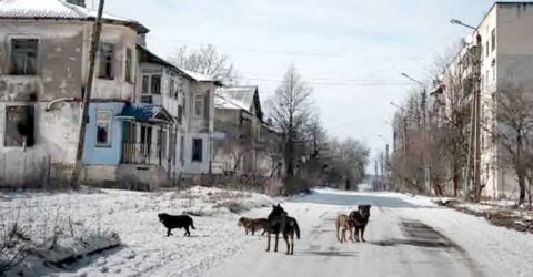 রাশিয়ার দাবি: ইউক্রেনের ৫ হাজার বর্গকিলোমিটার এলাকা দখল