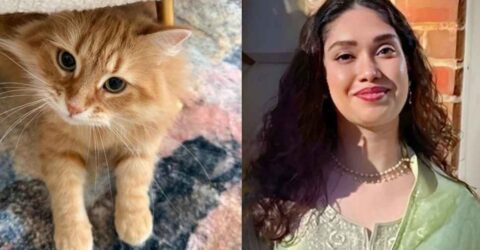 প্রিয় জেবুকে নিয়ে জাইমা রহমানের আবেগপূর্ণ সামাজিক পোস্ট